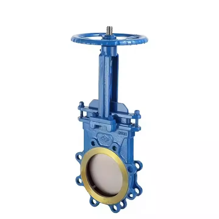 Van cổng gang mặt bích DN100
