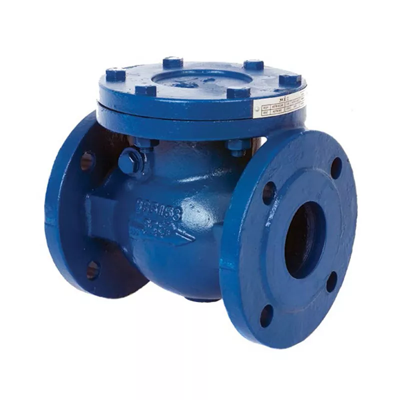 Van kiểm tra nâng thủ công van Wivo - Gang, DN200